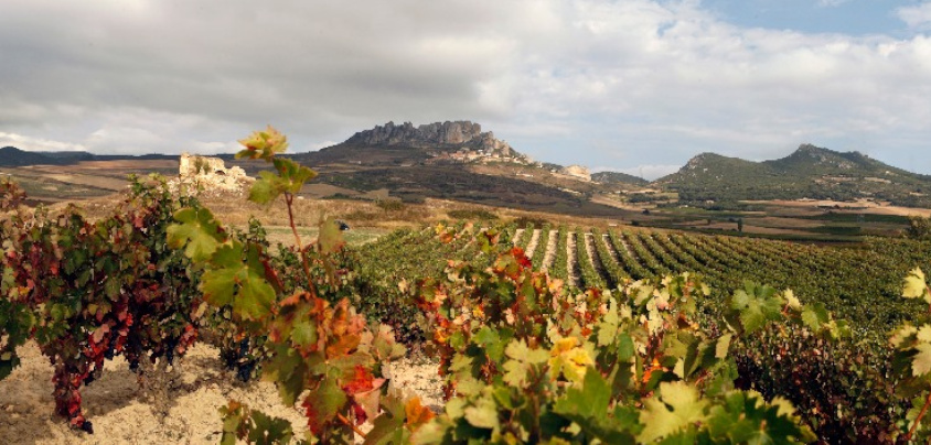 Bodegas Taron (Rioja Alta), Rioja DOCa