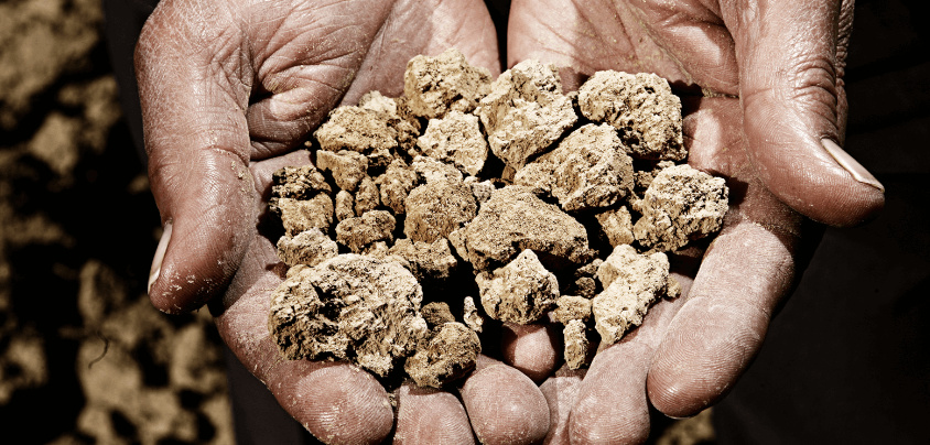 Bodegas Taron (Rioja Alta), Rioja DOCa